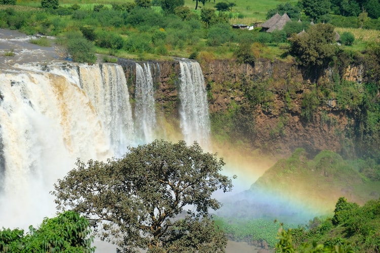 Ethiopian Blue Nile Falls in Bahidar